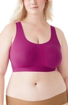 True & Co. True Body Lift Wireless Bra In Purple Thistle