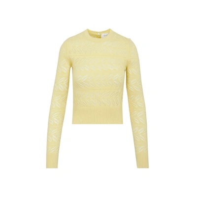 Sportmax Perforated Crewneck Knitted Jumper In Yellow