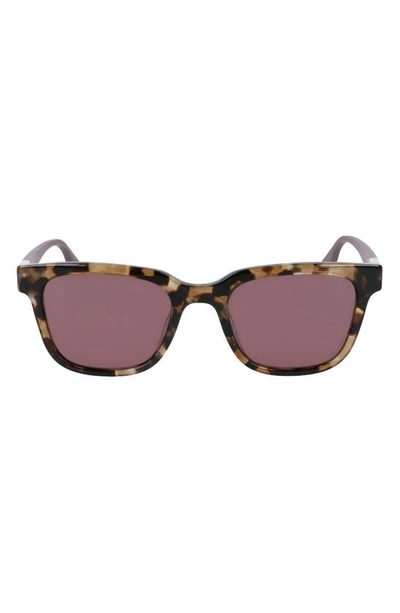 Shop Converse Rise Up 51mm Sunglasses In Khaki Tortoise