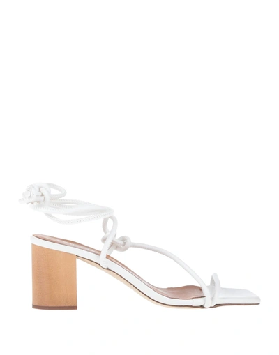 Eqüitare Sandals In White