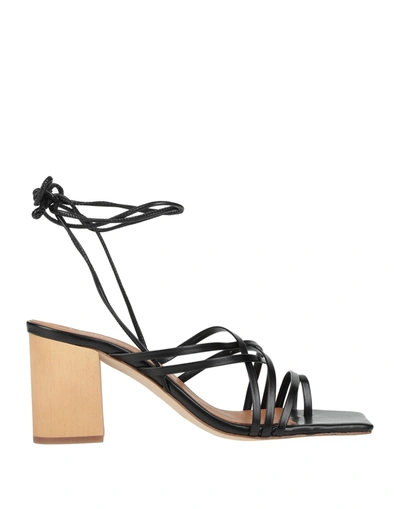 Eqüitare Toe Strap Sandals In Black