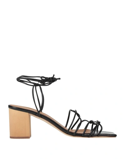 Eqüitare Sandals In Black