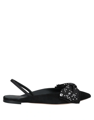 Giuseppe Zanotti Ballet Flats In Black