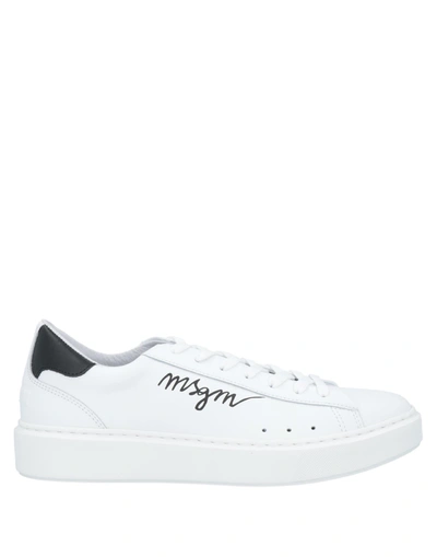 Msgm Sneakers In White
