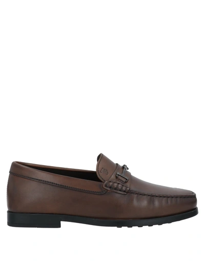 Tod's Loafers In Brown