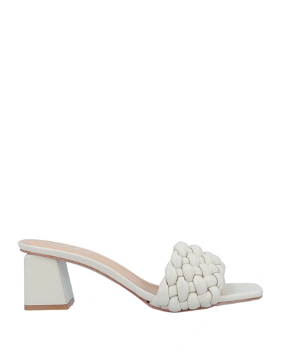 Carpe Diem Sandals In White