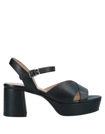 Adele Dezotti Sandals In Black