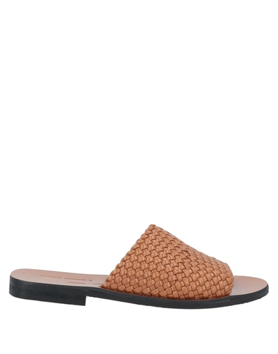 Ncub Sandals In Brown