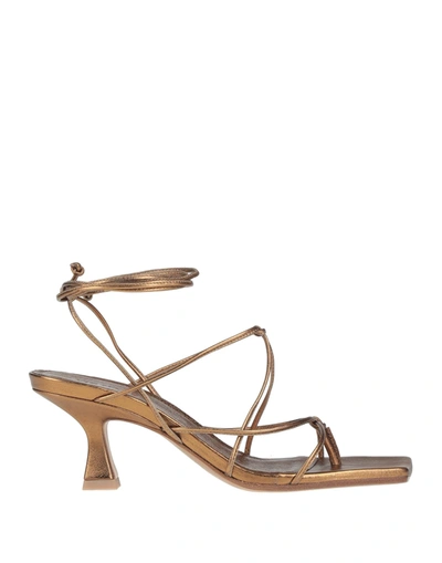 Vic Matie Toe Strap Sandals In Yellow