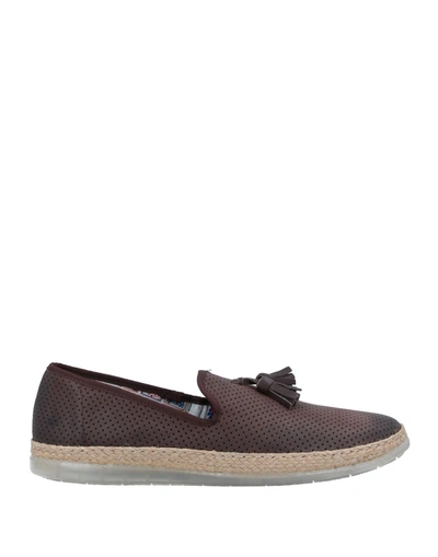 Marechiaro 1962 Espadrilles In Brown