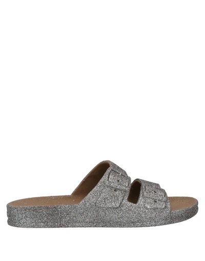 Cacatoes Sandals In Grey