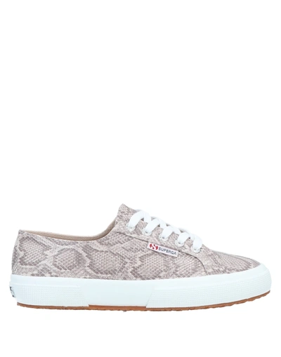 Superga Sneakers In Grey