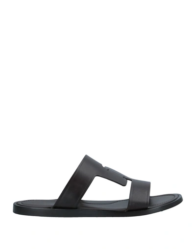 Tod's Man Sandals Dark Brown Size 7 Leather