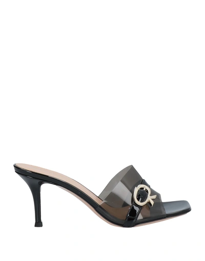 Gianvito Rossi Sandals In Black