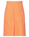 Ottod'ame Woman Shorts & Bermuda Shorts Orange Size 6 Cotton, Elastane In Orange
