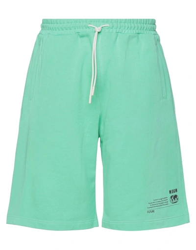 Msgm Shorts & Bermuda Shorts In Light Green
