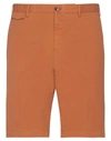 Pt Torino Man Shorts & Bermuda Shorts Rust Size 36 Cotton, Elastane In Red