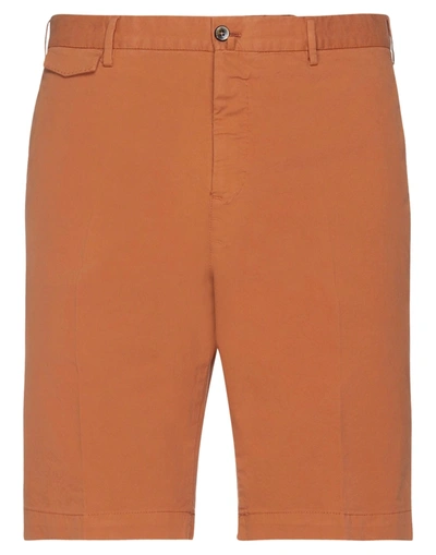 Pt Torino Man Shorts & Bermuda Shorts Rust Size 36 Cotton, Elastane In Red