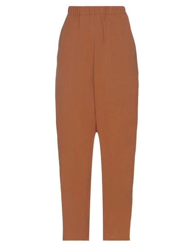 Niū Pants In Brown