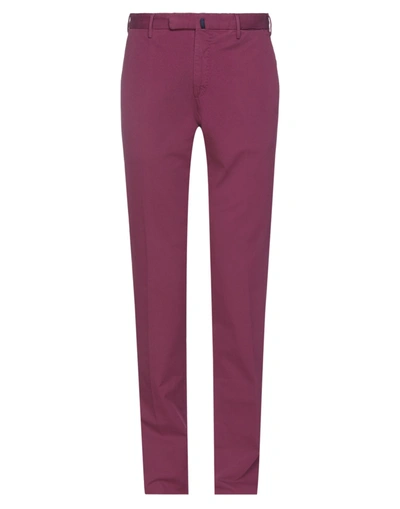 Incotex Pants In Mauve