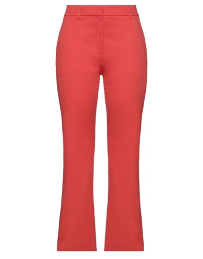 True Royal Pants In Red