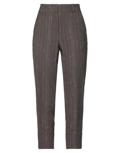 Peserico Pants In Cocoa