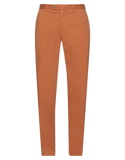 Pt Torino Pants In Brown
