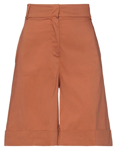 D-exterior D. Exterior Woman Shorts & Bermuda Shorts Brown Size 6 Cotton, Polyamide, Elastane
