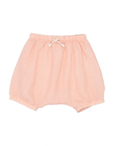 1+ In The Family Shorts & Bermuda Shorts In Salmon Pink