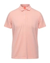 Suns Polo Shirts In Pink