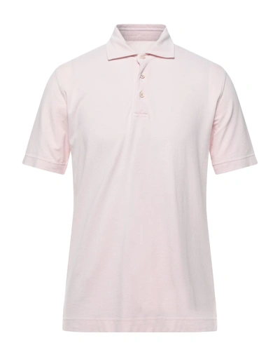 Circolo 1901 Polo Shirts In Light Pink