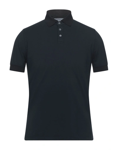 Alpha Studio Polo Shirts In Blue