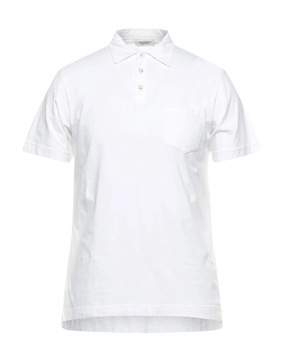 Crossley Polo Shirts In White