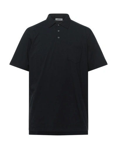 Crossley Polo Shirts In Black