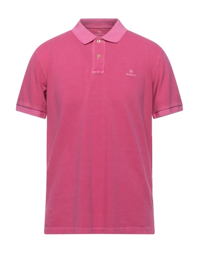 Gant Polo Shirts In Fuchsia