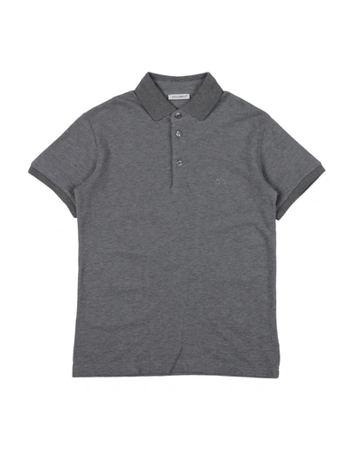 Dolce & Gabbana Kids' Polo Shirts In Grey