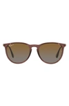 Ray Ban Erika Classic 54mm Sunglasses In Transparent Brown