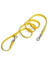 Wild One Standard Dog Leash In Butter