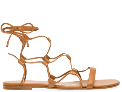 Gianvito Rossi Brown Lace-up Leather Sandals