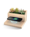LOMI SUCCULENT QI WIRELESS CHARGING STAND