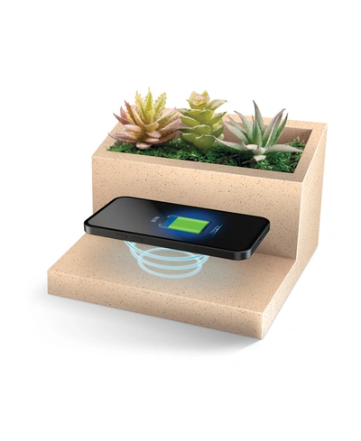 Lomi Succulent Qi Wireless Charging Stand In Terracotta