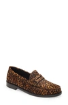 Saint Laurent Brown Loafers With Cassandre Logo And Leopard Motif In Fabric Woman In Natural Print Calf Hair