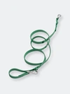 Wild One Leash In Spruce