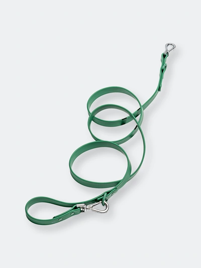 Wild One Leash In Spruce