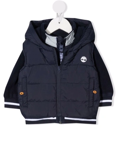 Timberland Babies' Layered Padded Jacket In Blue