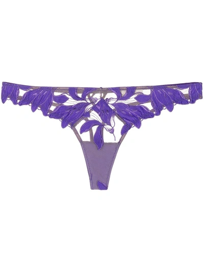 Fleur Du Mal Lily Embroidered Satin And Tulle Thong In Pansy