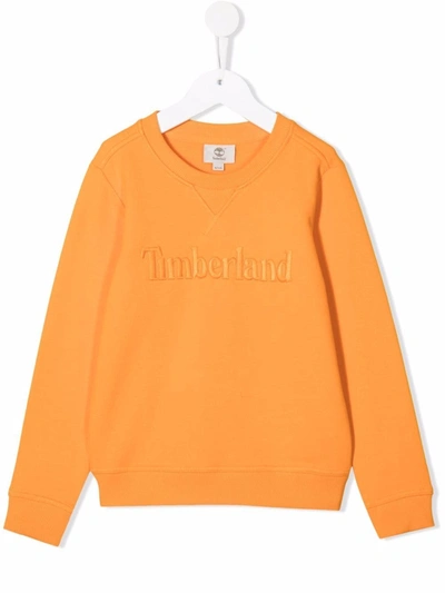 Timberland Tonal-logo Sweatshirt In Orange