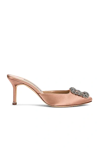 Manolo Blahnik Hangisimu 70 Mule In Nude