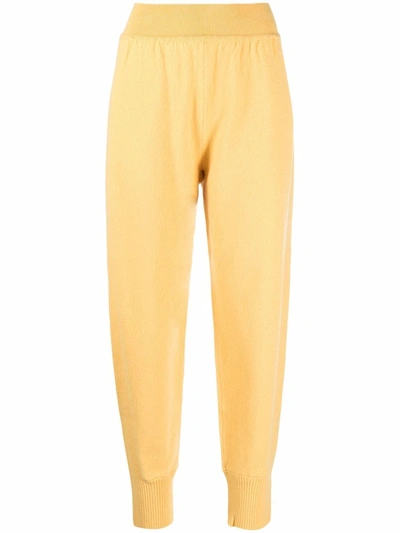 Alberta Ferretti Ribbed-detailing Knitted Joggers In Gelb