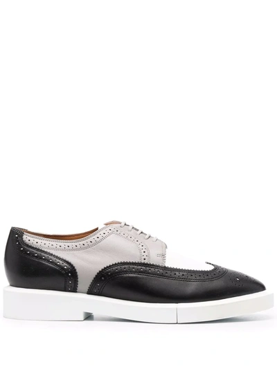 Robert Clergerie Colour-block Oxford Shoes In Black